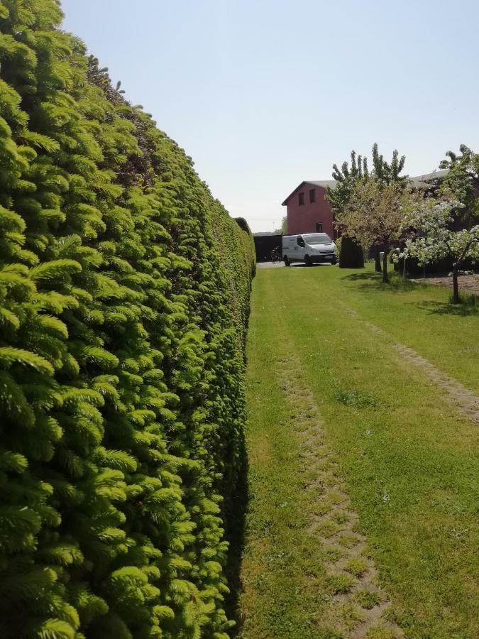 Villa Häuschen im Grünen Jornstorf Exterior foto